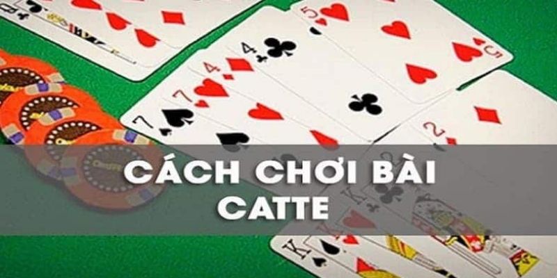 cách chơi catte