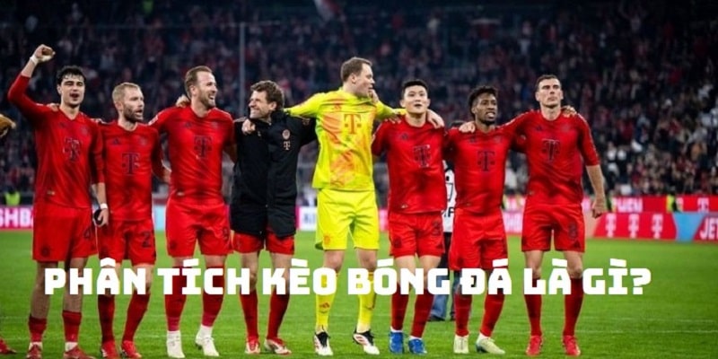 Khám phá chi tiết thông tin về tầm quan trọng của phân tích kèo bóng đá